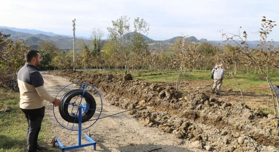 Ordu'da Fındıkta Verim Devrimi: Toprak Altı Damlama Sulama ile %40 Artış!