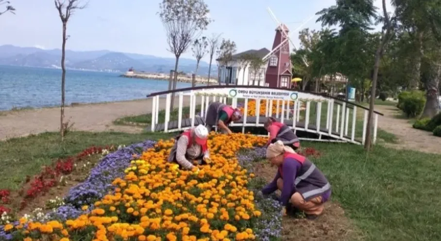Ordu'da Kent Estetiği Hamlesi: Büyükşehir'den Modern Dokunuşlar!