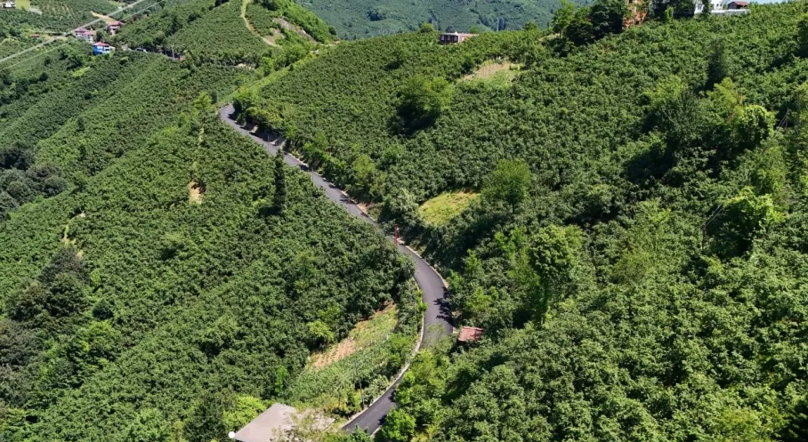 Ordu Kırsalında Ulaşım Devrimi: Ulubey'de Sıcak Asfaltla Toz ve Çamur Tarih Oldu!