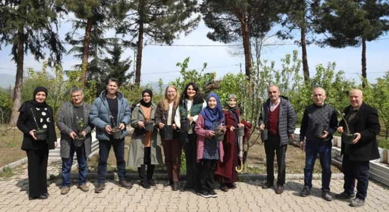 Ordu'da Meyve Ağaçları Profesyonel Aşılarla Yenileniyor! Üreticiler Sahaya İndi