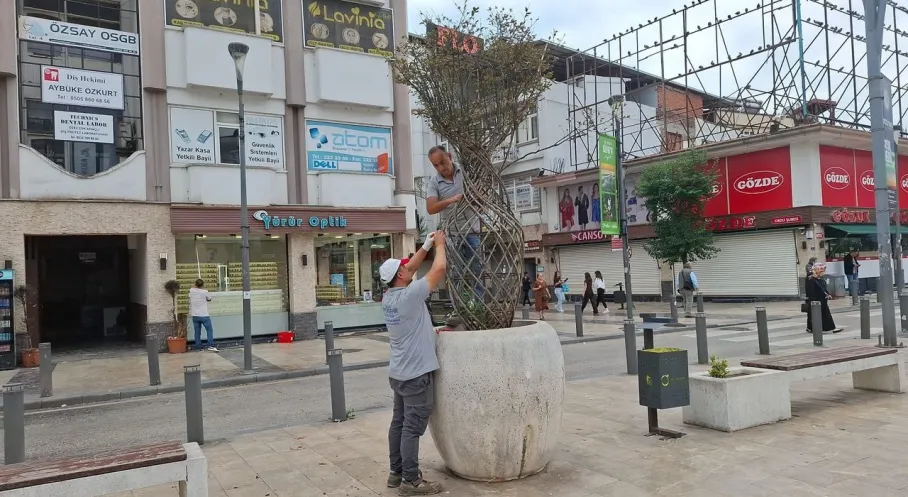 Ordu'da Şehir Estetiği Seferberliği: Büyükşehir'den Göz Alıcı Dokunuşlar!