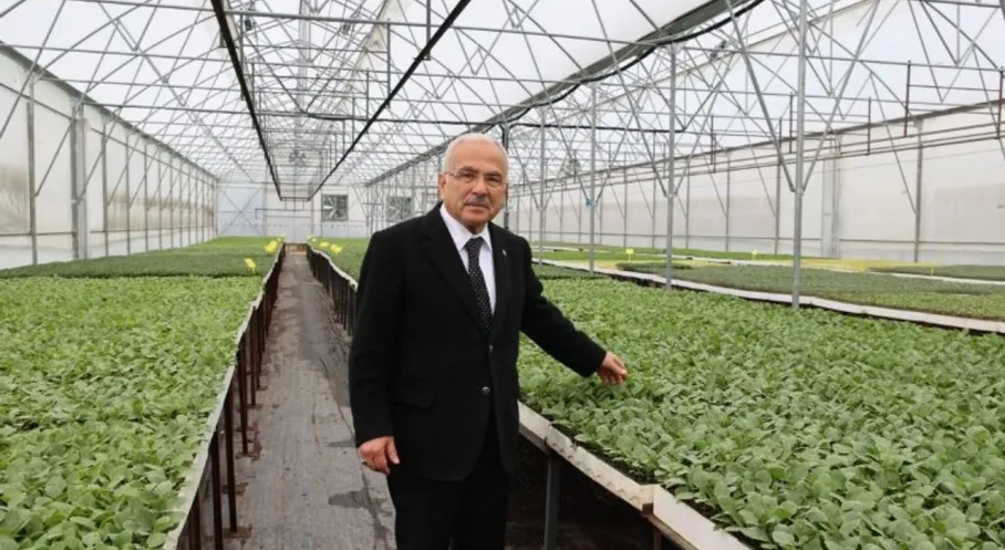 Ordu'da Tarım Atağı: Büyükşehir'den 5 Yılda 4 Milyon Sebze Fidesi Desteği!