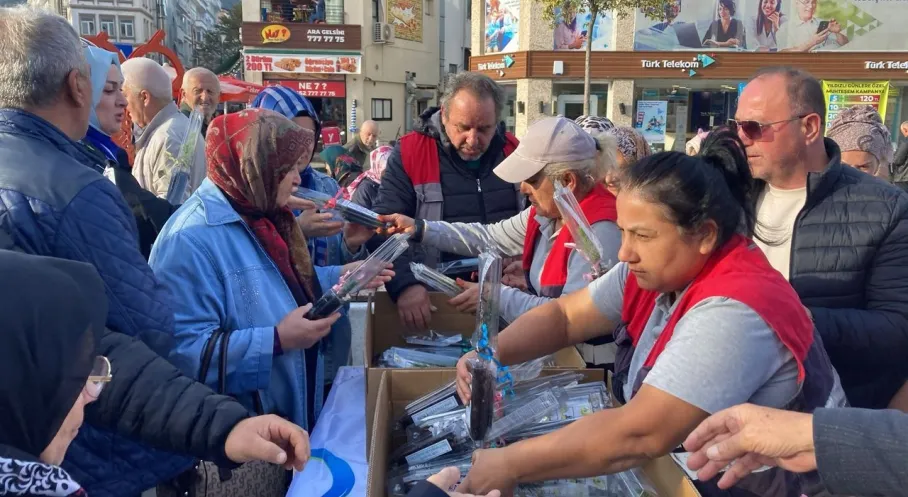 Ordu'da Yeşil Seferberlik! 2 Bin Fidan Toprakla Buluştu