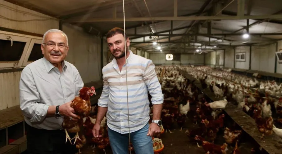 Ordu'da Yumurta Sektörü Küllerinden Doğdu: Başkan Güler Destekleriyle Üretim 50 Milyona Fırladı!