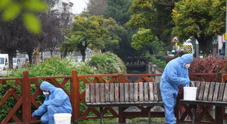 Osmangazi'de Kemirgen Alarmı! Halk Sağlığı İçin Seferberlik Başladı