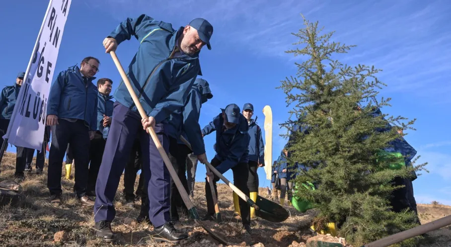 PTT 185 Yaşında: Ankara'da 4185 Fidanla Geleceğe Nefes!