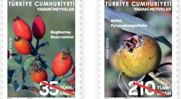 PTT, Yabani Meyveler Temalı Pullarıyla Dikkatleri Üzerine Çekiyor