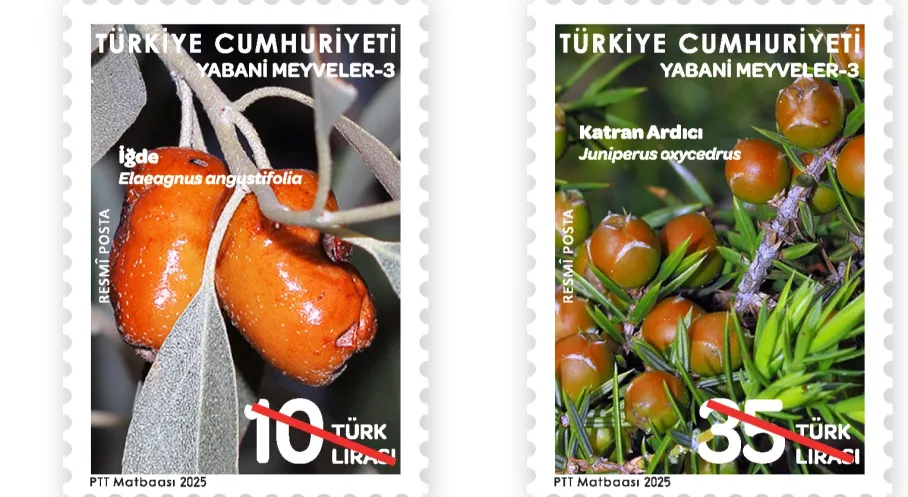 PTT'den Koleksiyonluk Yabani Meyveler Pulları! 11 Ağustos'ta Çıktı!