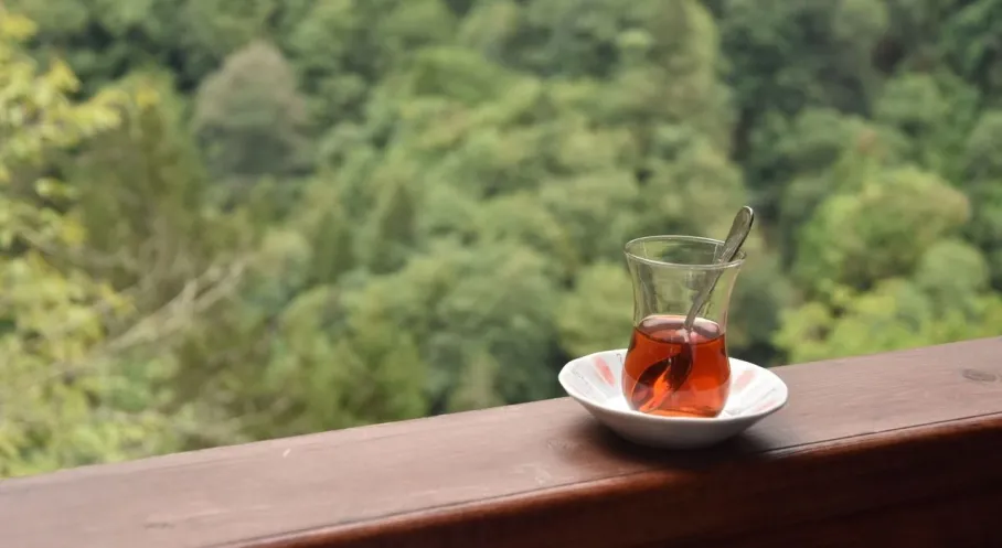 Rize Çay İhracatında Rekor! 4 Ayda 5,5 Milyon Dolar Gelir