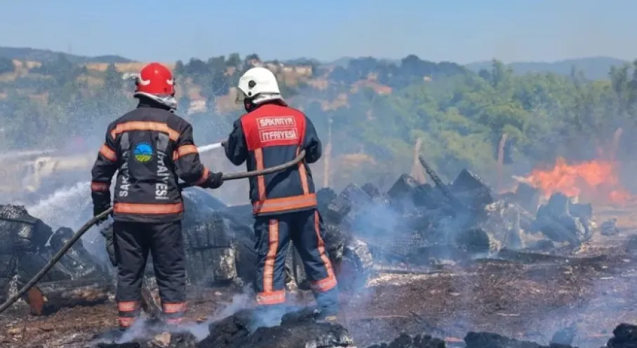 Sakarya'da Yangın Alarmı: Vakalar 2025'te Rekor Artış Gösterdi!