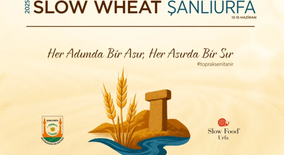 Şanlıurfa Buğday Festivali: Mezopotamya'nın Bereketi Dünyaya Tanıtılacak!