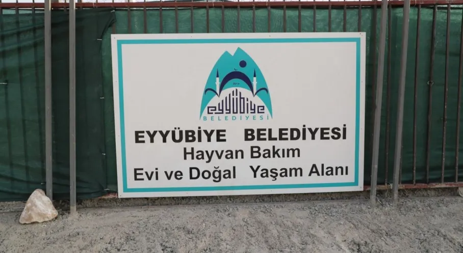 Şanlıurfa Eyyübiye'de Sokak Hayvanları Sorununa Neşter! Yeni Bakımevi Umut Saçıyor