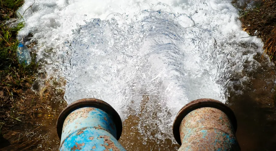 Şanlıurfa'da Şok Rakamlar: Yasaklı Mısır Ekonomiyi 15 Milyar TL Zarara Uğrattı! Kaçak Elektrik Dehşeti...