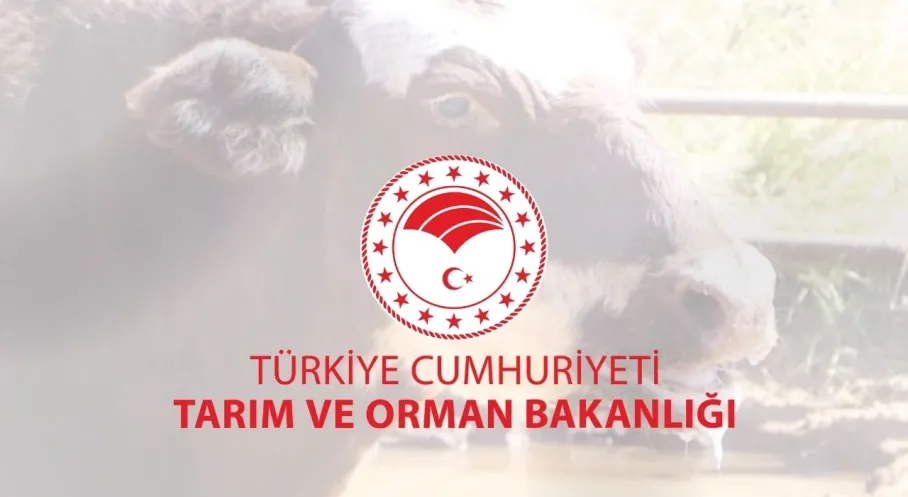 Şap Hastalığı Kabusu Sona Erdi! Bakanlık Kontrolü Açıkladı