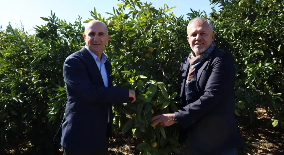 Satsuma Mandalinanın İhracat Yolculuğu Başladı
