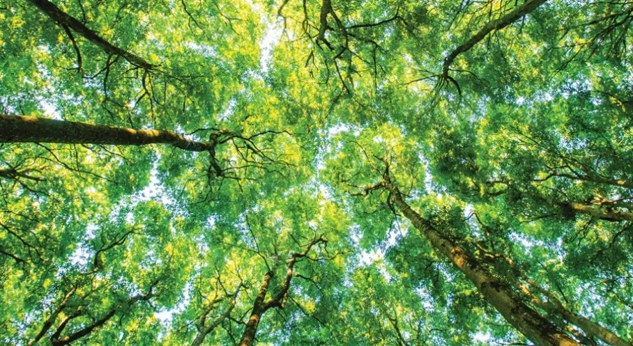 Schneider Electric Evreux Tesisi, Sürdürülebilirlik 