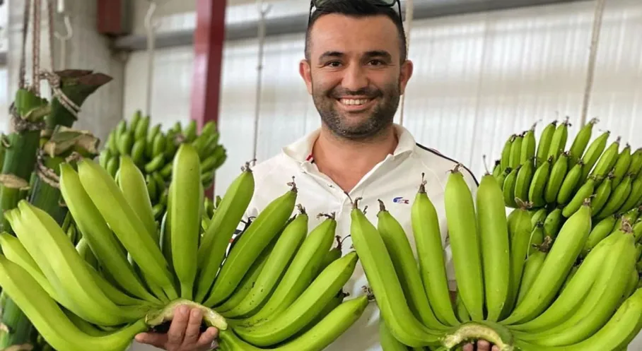 Serik Muzu İthalatı Solladı! Yerli Üretim Atağı