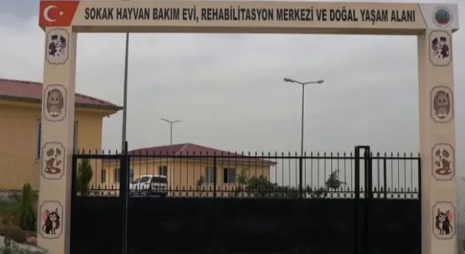 Siirt'te Sokak Hayvanları İçin Dev Proje! 50 Bin Metrekarelik Yaşam Alanı Kuruldu