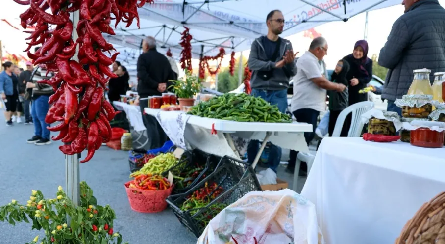 Silivri'de Kırmızı Biber Coşkusu! Sayalar Şenliği Damga Vurdu