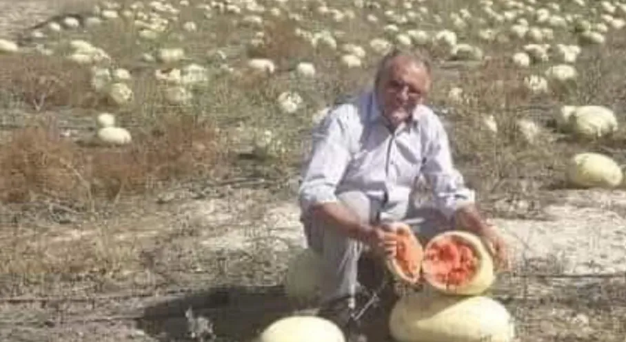 Şok İddia: Dağ Domuzları Bile İthal Tohumu Reddediyor!