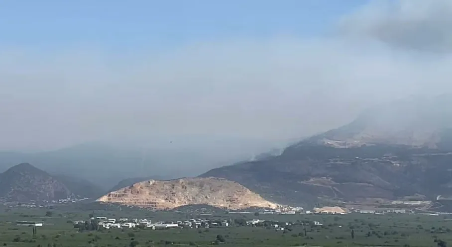 Son Dakika: Bursa Gürsu'da Orman Yangını! Hava ve Karadan Müdahale Devam Ediyor