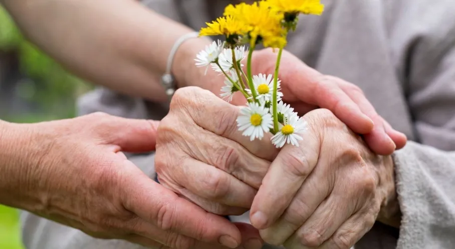 Son Dakika: Engelli ve Yaşlılara Kasım Ayında Rekor Destek Ödemesi!