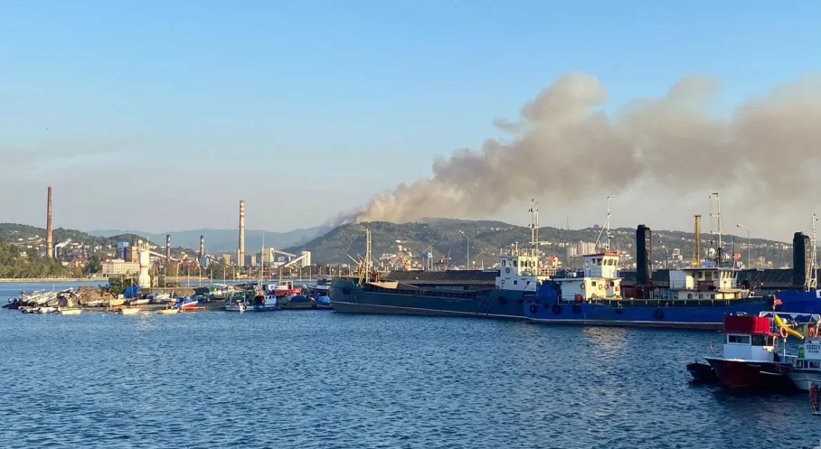 Son Dakika: Karadeniz Ereğli'de Korkutan Orman Yangını!