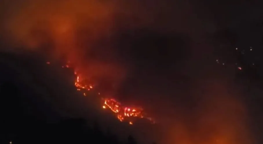 Son Dakika: Mersin Silifke'de Orman Yangını! Mahalleler Boşaltıldı, Yol Kapandı