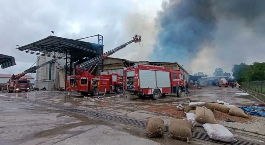 Son Dakika: Sakarya'da Fındık Fabrikasında Korkutan Yangın! Sebebi Belli Değil