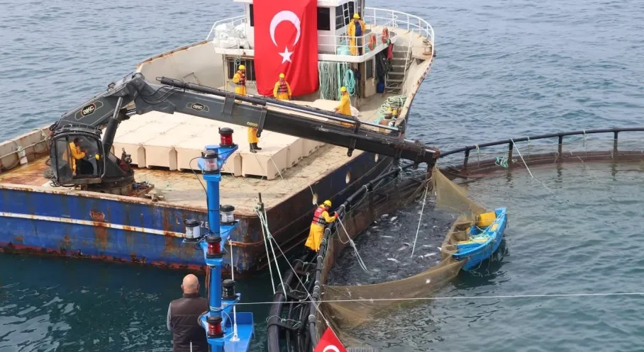 TÜİK 2025 Verileri Şok Etti: Türkiye'de Su Ürünleri Üretiminde Yetiştiricilik Zirveye Çıktı!