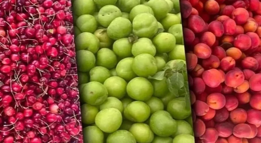 Tarım-ÜFE'de Şok Zirve! Meyveler Uçuşta, Tropikal Ürünler Çakıldı!