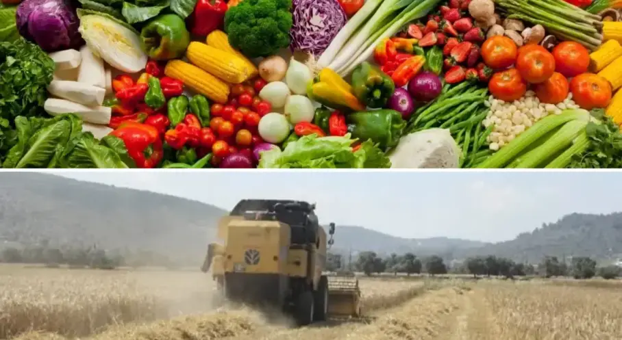 Tarım ürünlerinde fiyatlar eylülde düştü