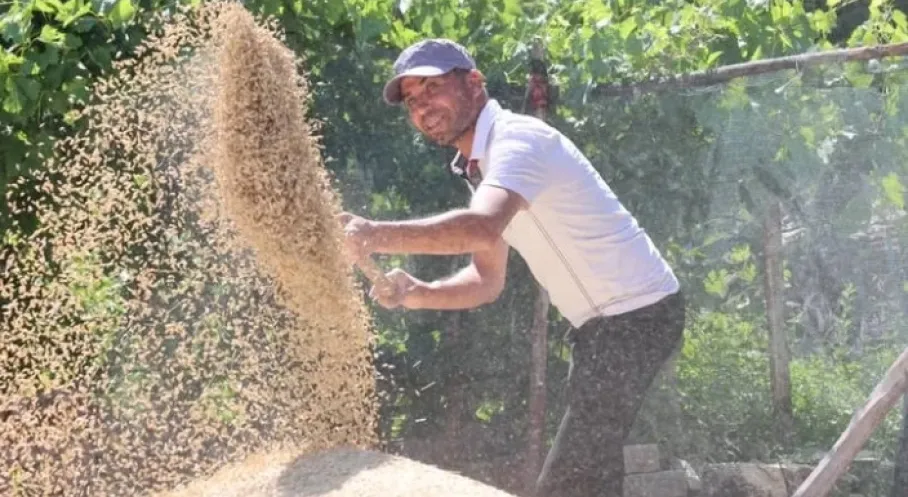 Antalya'da Tarım Atağı: Tohum Desteği Üreticiyi Güldürdü!