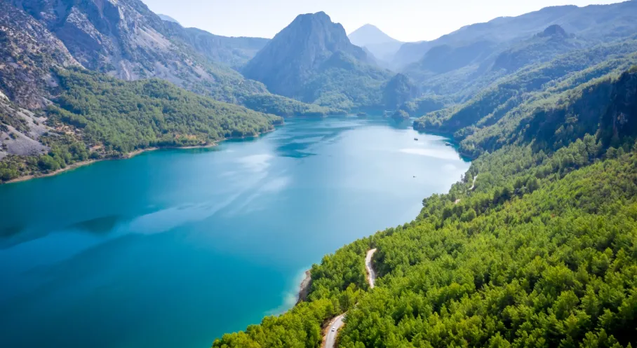 TEMA Vakfı'ndan Acil Çağrı: Küresel Su İflası Kapıda, Ormanları Korumak Hayati!