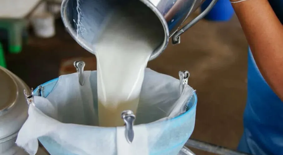 Ticari Süt Toplama Miktarı Haziran’da Yüzde 6,5 Arttı