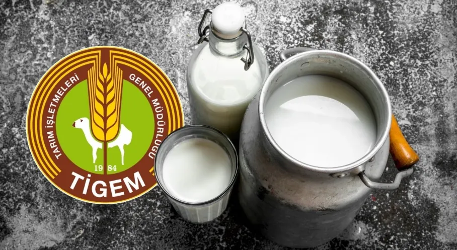 TİGEM'den Dev Süt İhalesi: 2026'da 74 Bin Ton Süt Satışa Çıkıyor!