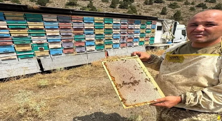 Toroslar'da Arıcılıkta Devrim! Gezici Tırla Doğal Bal Üretimi