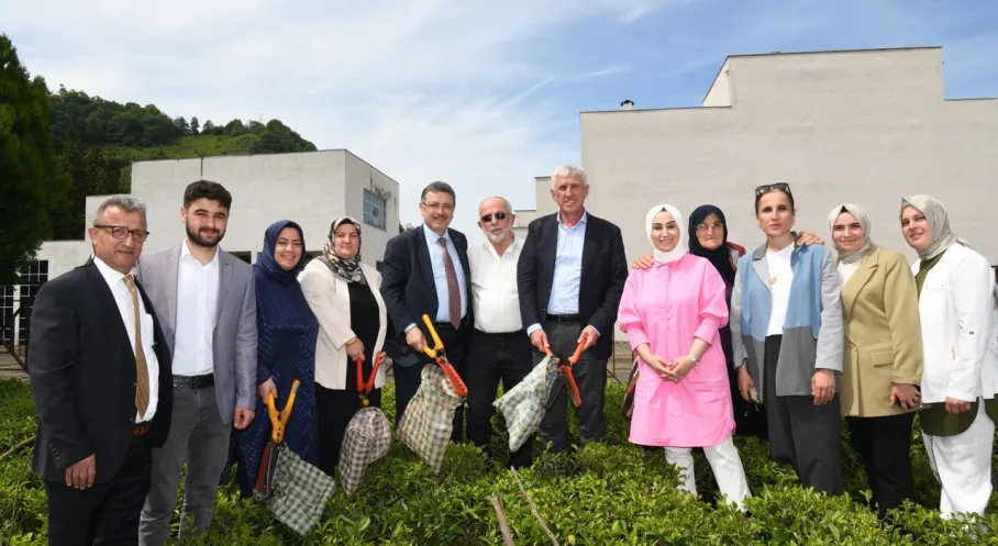 Trabzon'a Müjde! Ortahisar'a Yeni Çay Fabrikası Kuruluyor!