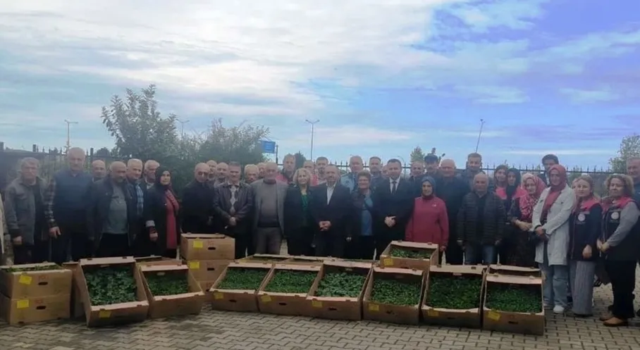 Trabzon'da Çiftçilere Fidan Müjdesi! Ücretsiz Fide Dağıtımı Coşkuyla Gerçekleşti