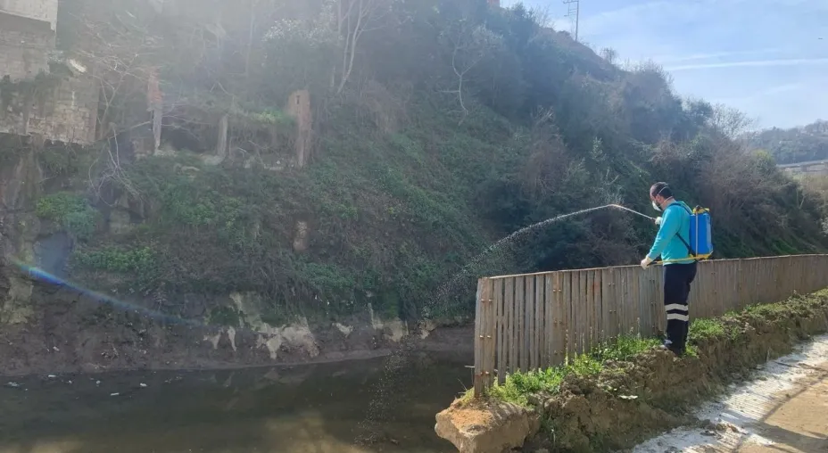 Trabzon'da Vektör Mücadelesi Başladı! Büyükşehir Alarmda
