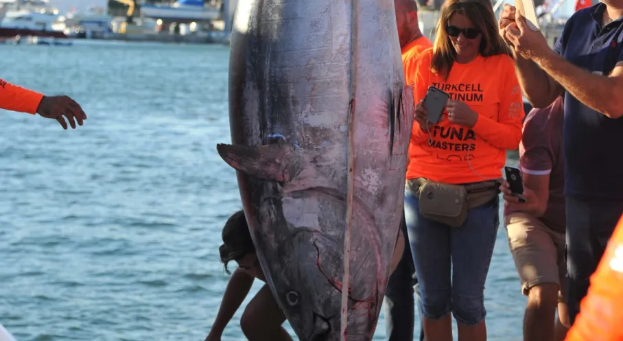 Tuna Masters TEOS 10 Yaşında! Rekorlar Teos Marina'da Yarışacak!