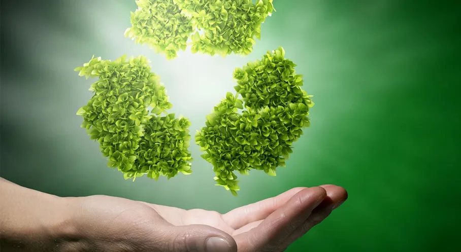 Türk Çimento Sektörü Geleceğe Yön Veriyor: 2024 Sürdürülebilirlik Raporuyla Yeşil Dönüşümde Liderlik!