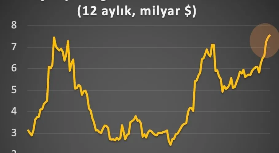 Türk Vatandaşlarının Yurt Dışı Yatırımları Rekor Seviyede! Şaşırtan Rakamlar