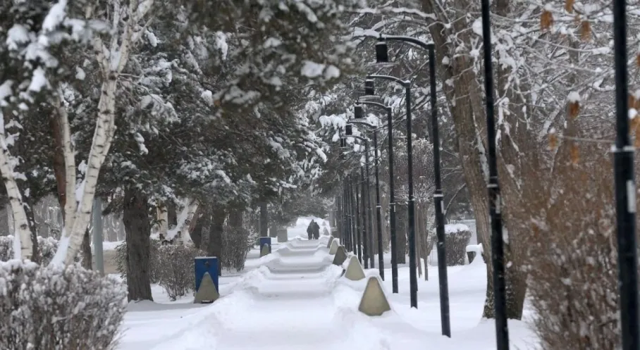 Türkiye Buz Kesti! Erzurum -30.3 Dereceyle En Soğuk Şehir Oldu, Doğu'da Dondurucu Hayat