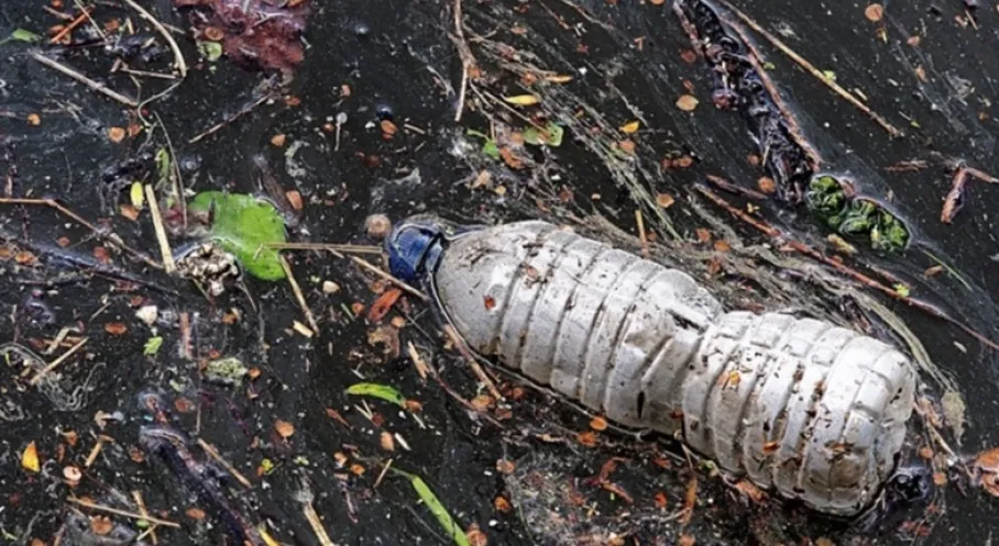 Türkiye'de Plastik Kirliliğine Devrimci Çözüm: Biyo-Transformasyon Teknolojisi Geldi!