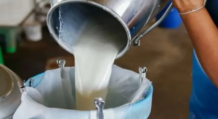 Süt Üretimi Rekor Kırdı! Mart Ayında Türkiye'de Süt Patlaması Yaşandı!