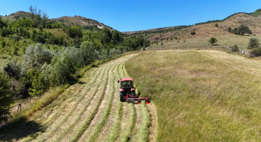 Türkiye'den Tarım Rekoru! 7 Üründe Dünya Liderliği Bizde!