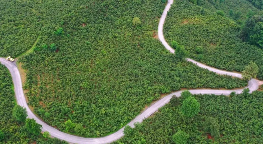 Ulubey’de 7 Kilometrelik Güzergah Asfaltlandı