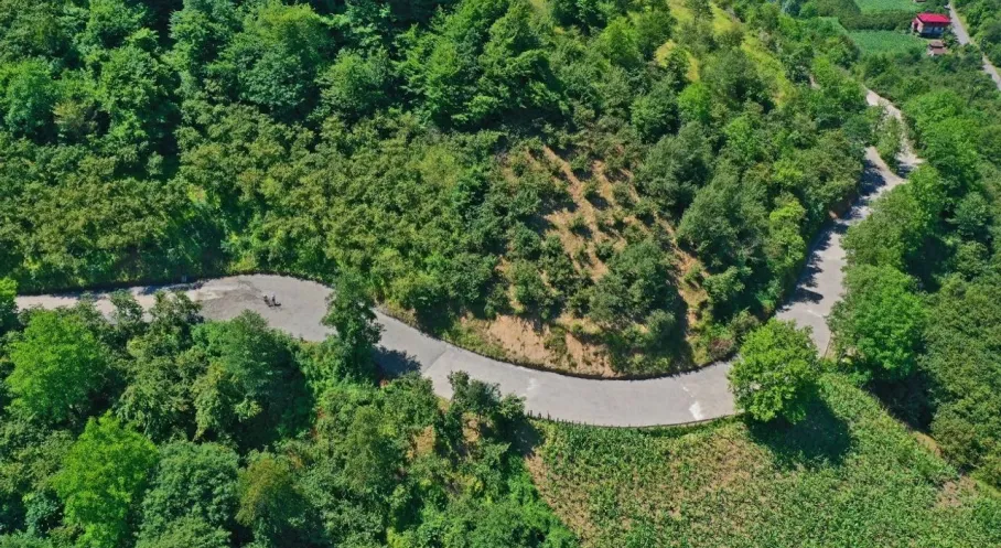 Ünye Yeniköy'e Müjde! Beton Yol Çalışması Tamamlanıyor