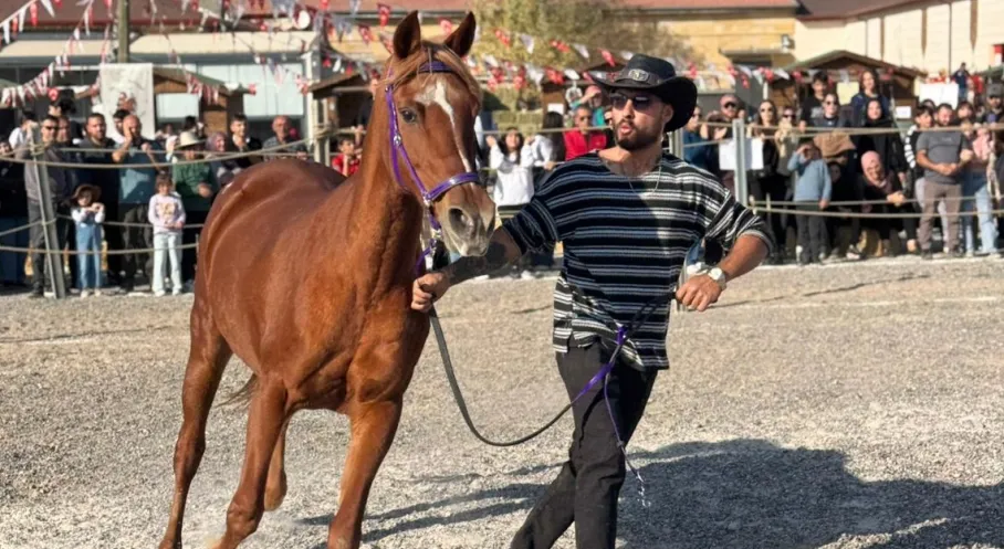 Ürgüp At Festivali 2023: Coşku ve Güzellik Yarışmasıyla Sona Erdi!